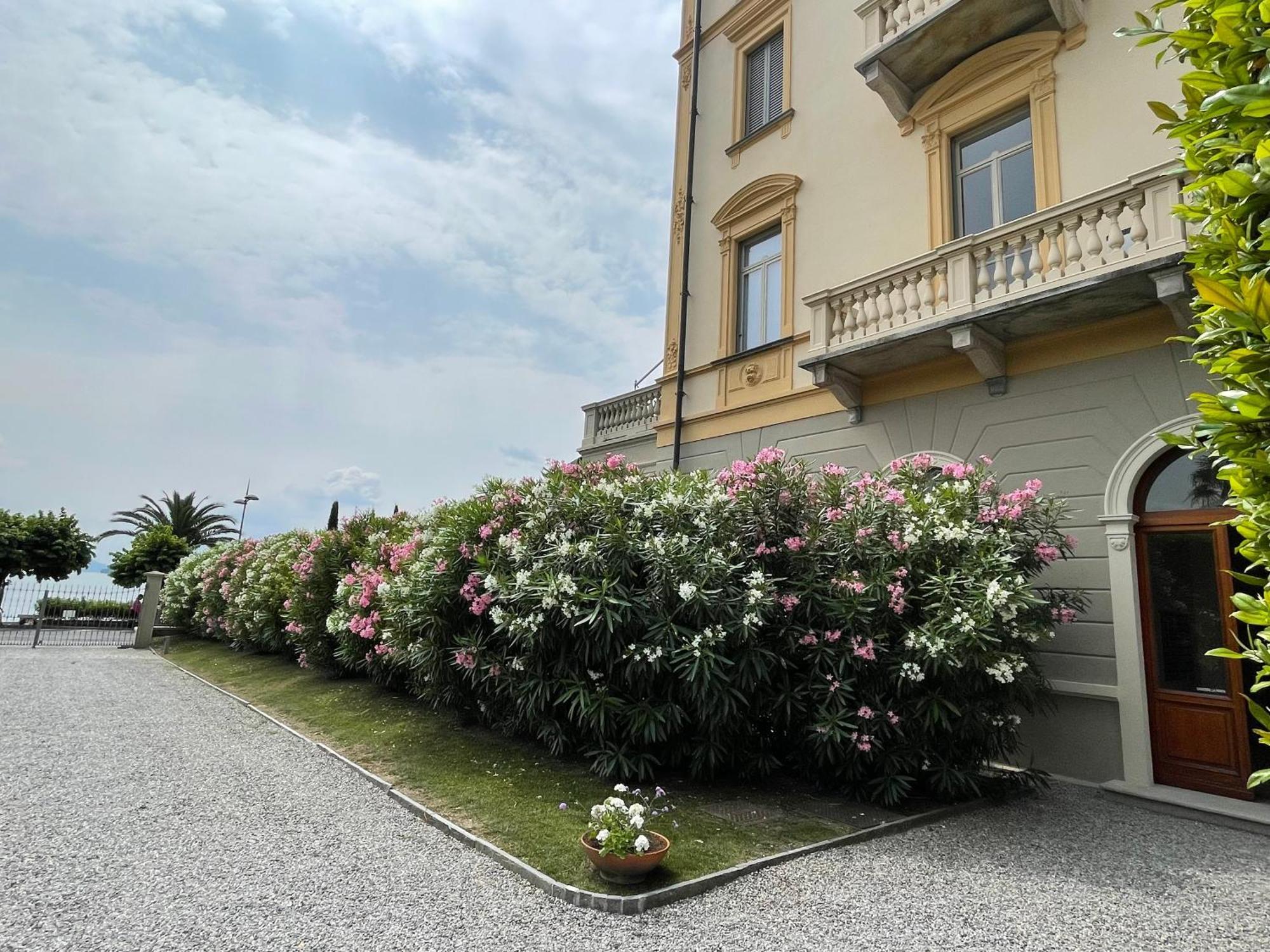 Residenza Victoria Lägenhet Menaggio Exteriör bild